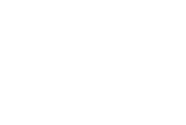 bannerwave